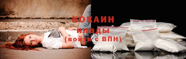apvp Аркадак