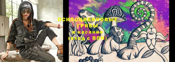 apvp Аркадак