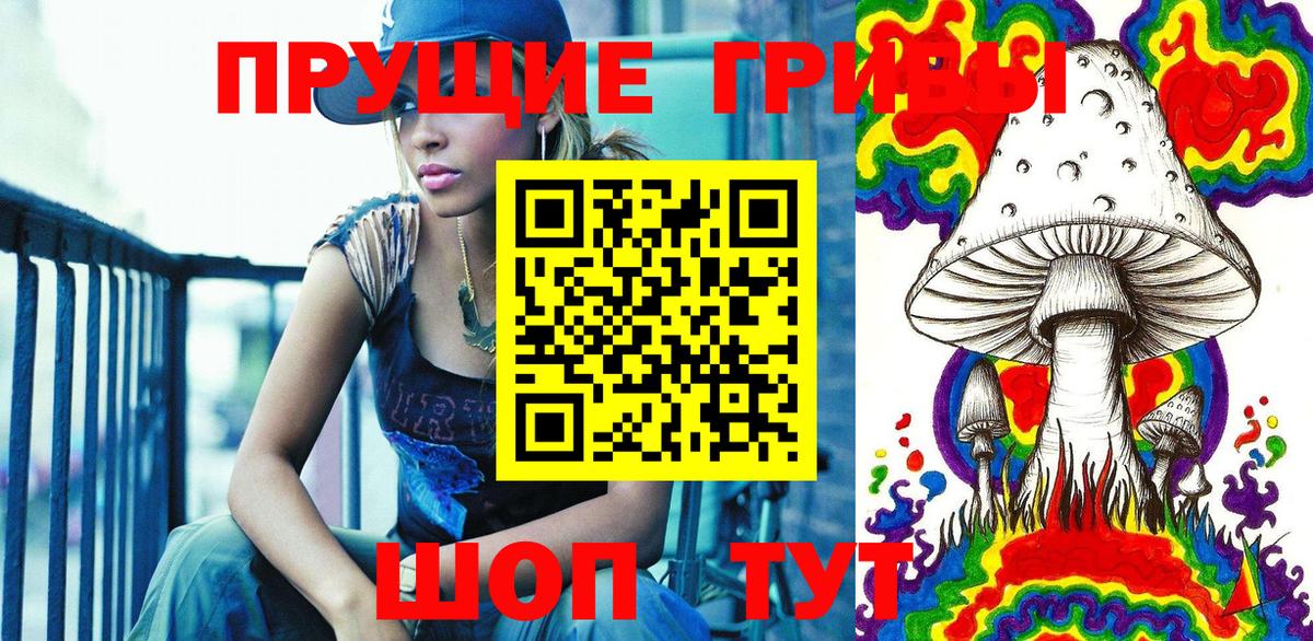 Ленинск-Кузнецкий  Псилоцибиновые грибы Cubensis  Вход с VPN  Псилоцибиновые грибы мухоморы 