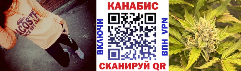 Каннабис планчик  где купить наркотик  Ленинск-Кузнецкий 